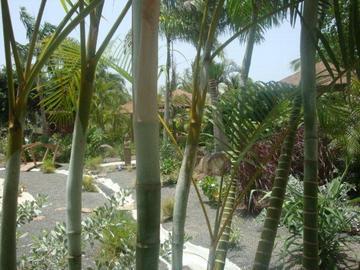La Plantation & Resort 3*