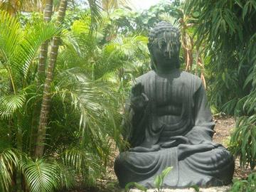 La Plantation & Resort Saint-Francois (Grande-Terre)